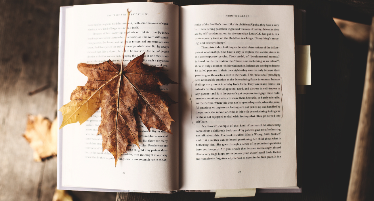 Quiz de Literatura - I